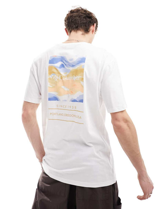 Barton Springs pattern back print t-shirt in peach multi Exclusive